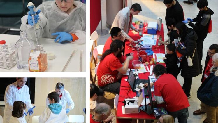 Wellcome Wolfson Institute for Experimental Medicine at the NI Science Festival