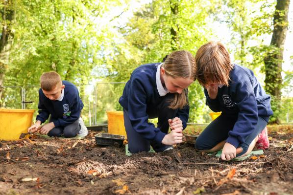 08. Springfield PS pupils enjoying digging in the sun