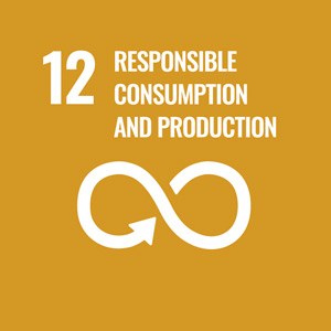 SDG Goal 12