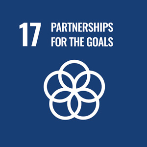 SDG Goal 17