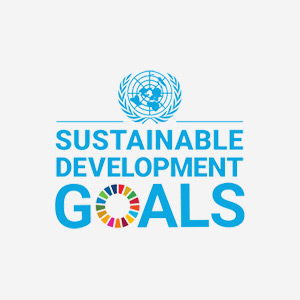 Sustainable Development Goals Logo