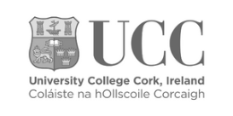 AIIP - University College Cork - Logo
