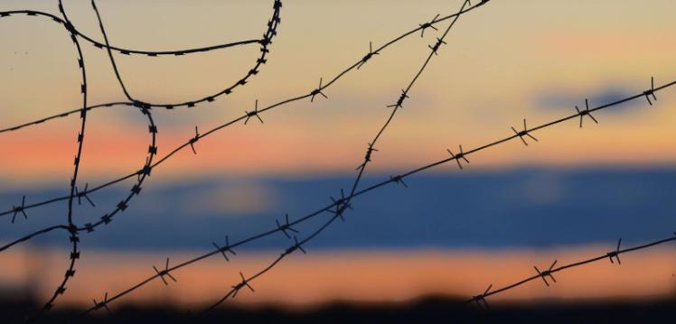 Barbed Wire