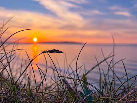 Nice water at sunset