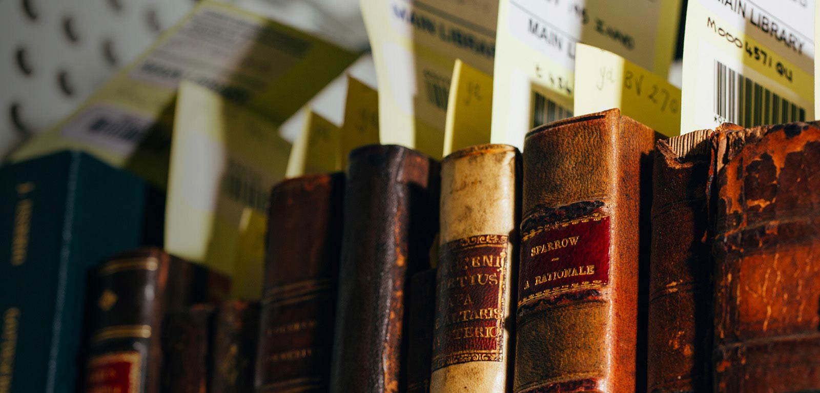 Close up of a shelf of ancient textbooks in the McClay Library