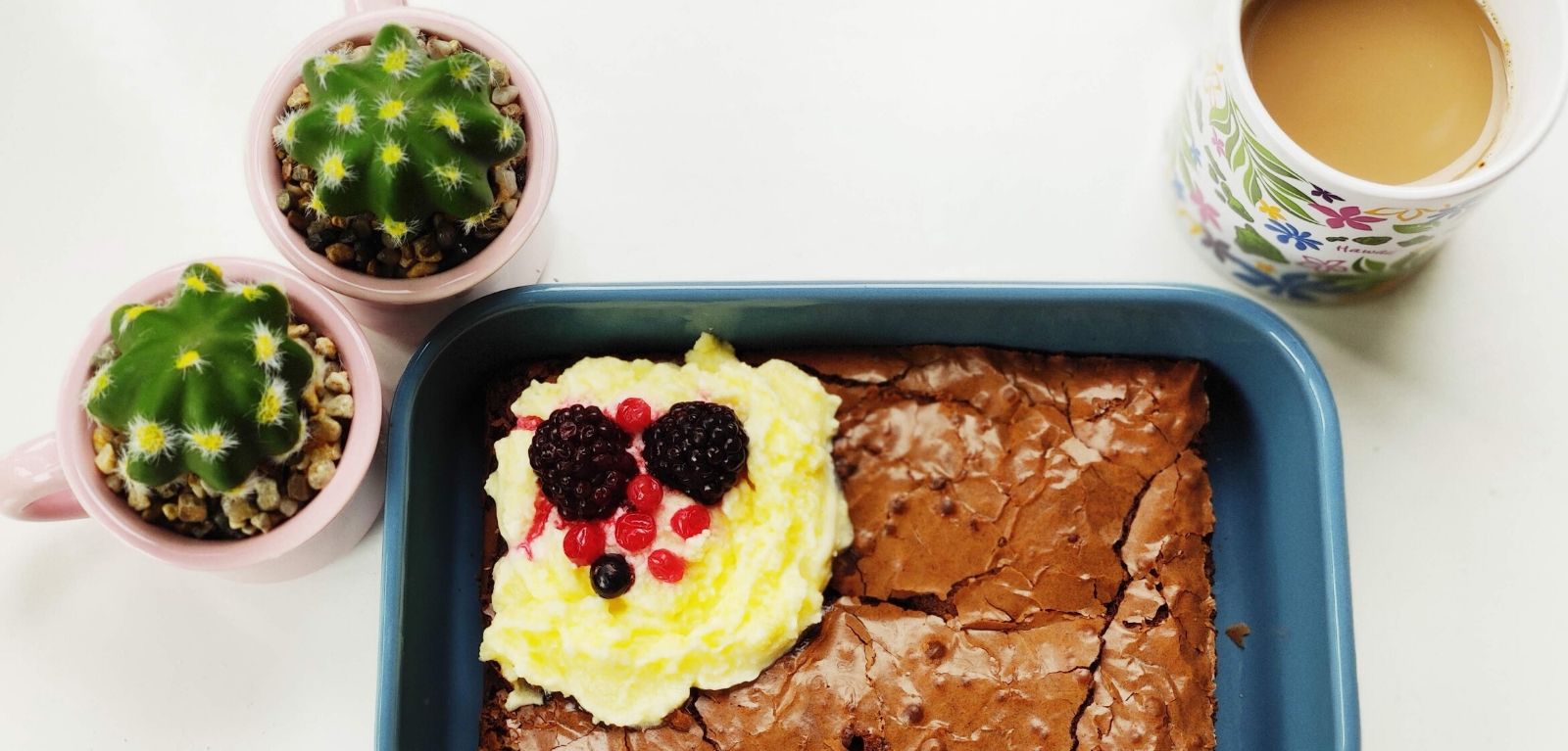 Cacti, cake and coffee