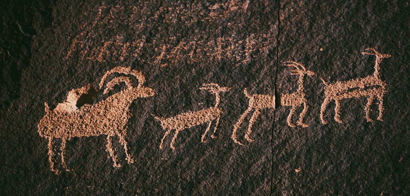 Drawing of animals on a rock wall