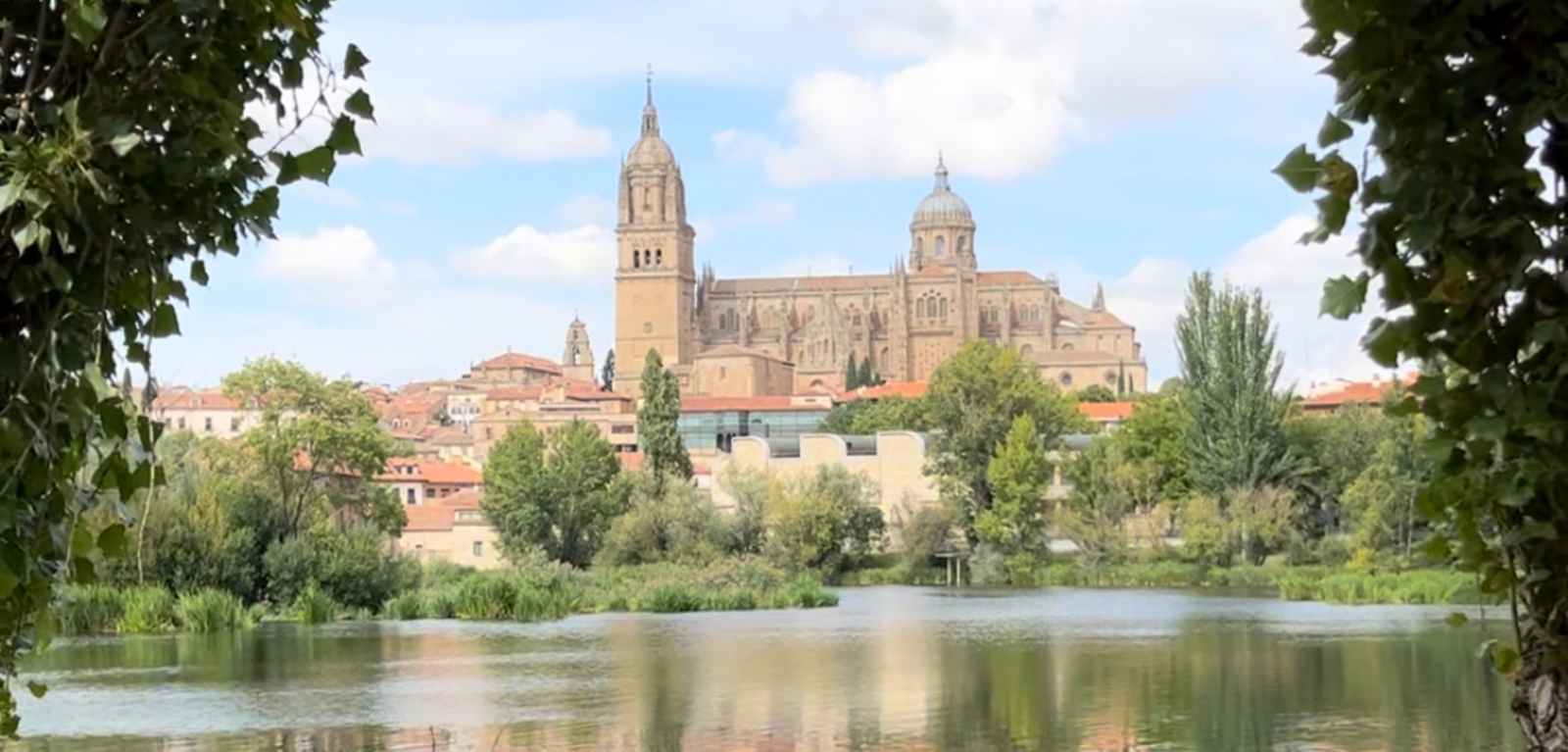 Cathedral Salamanca