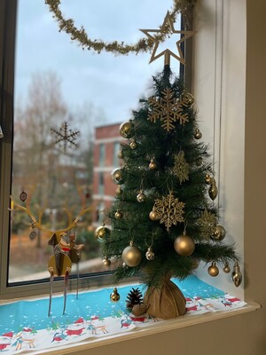 Small Christmas tree on window sill in student accommodation