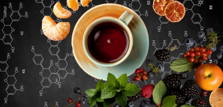 tea, berries illustration