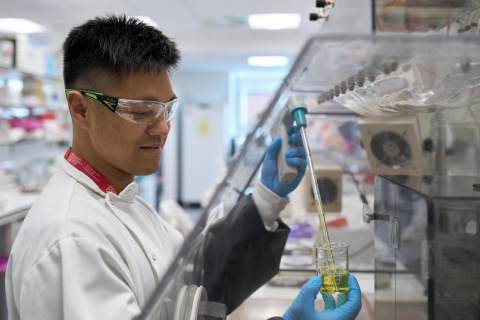 Researcher looks at chemicals in lab