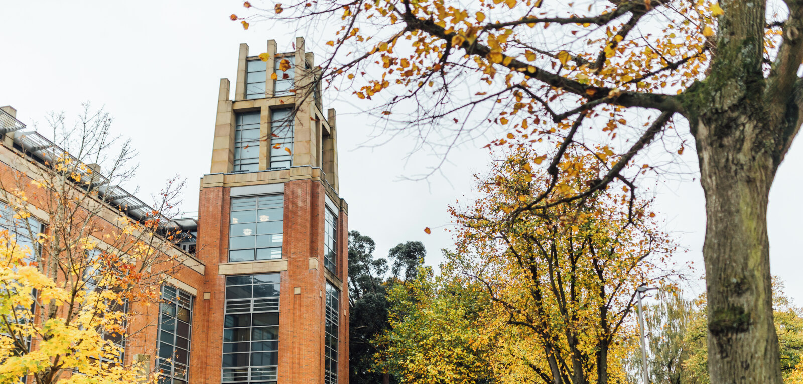 McClay Library exterior