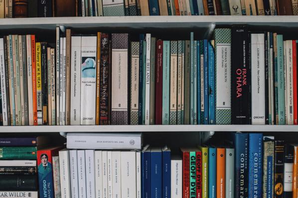 University study books on shelves