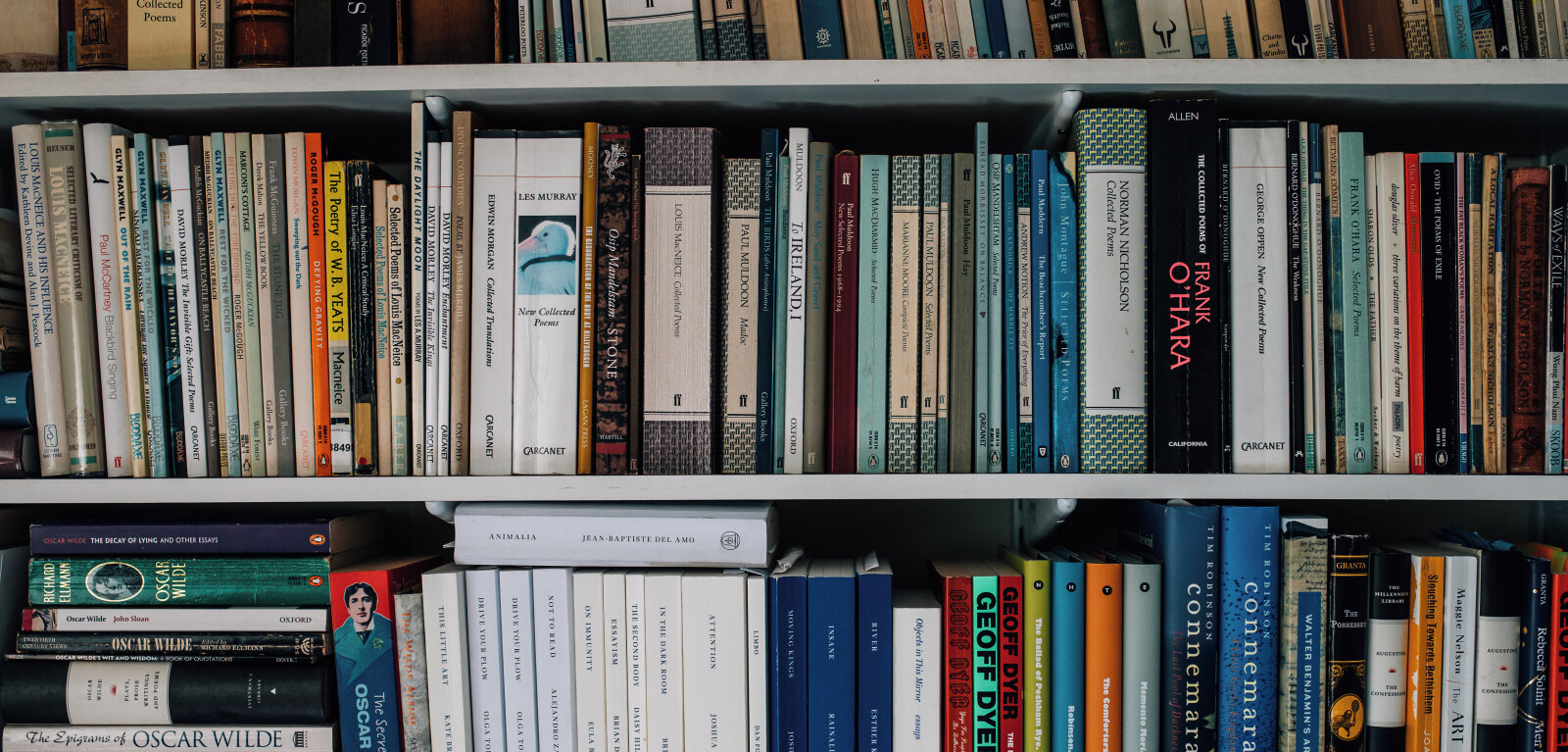 Books on several shelves