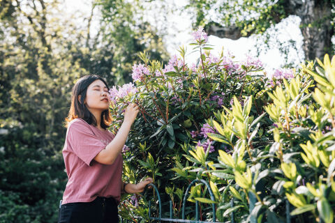 Student in Palm House