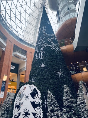 Christmas tree in Victoria Square