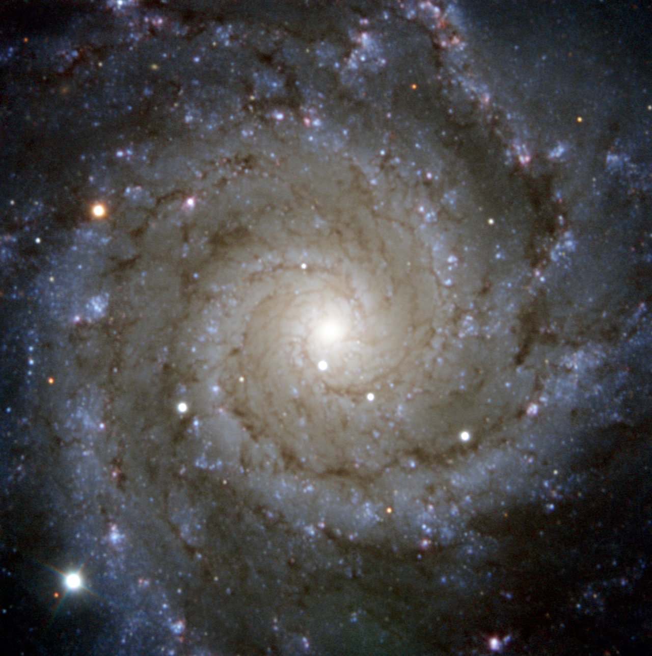 Supernova image