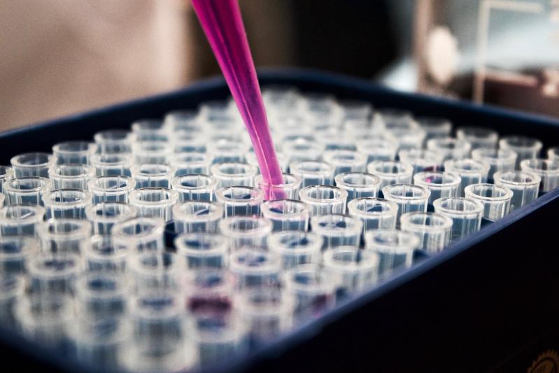 Solution being pipetted into a microtitre plate