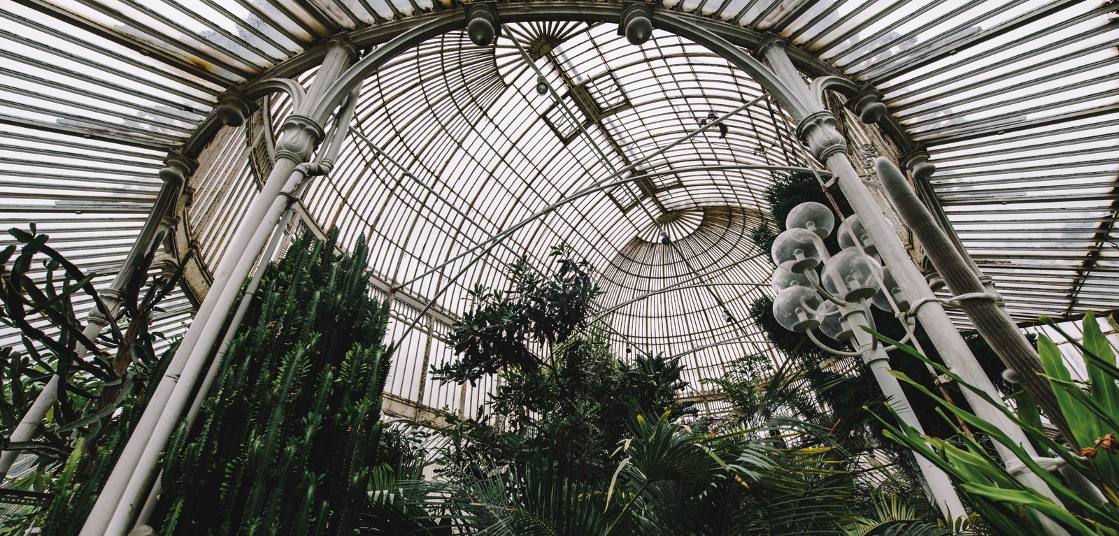 Botanic Gardens Palm House