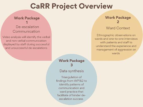 graphic giving an carr project overview