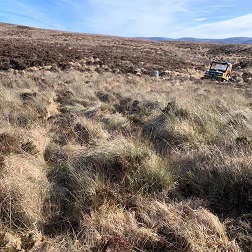 SAPHIRE_Peatland_Argocat_tracks