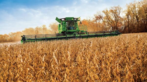 Tractor in field of wheat