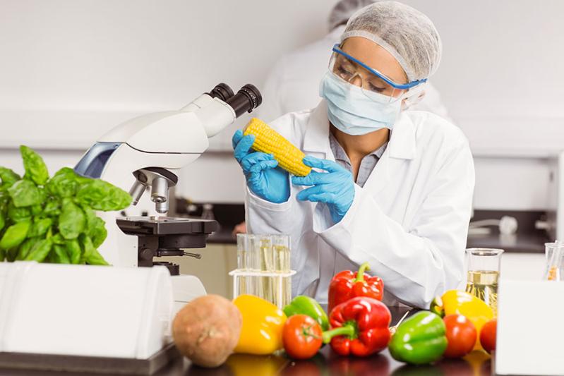 Woman Inspecting Corn