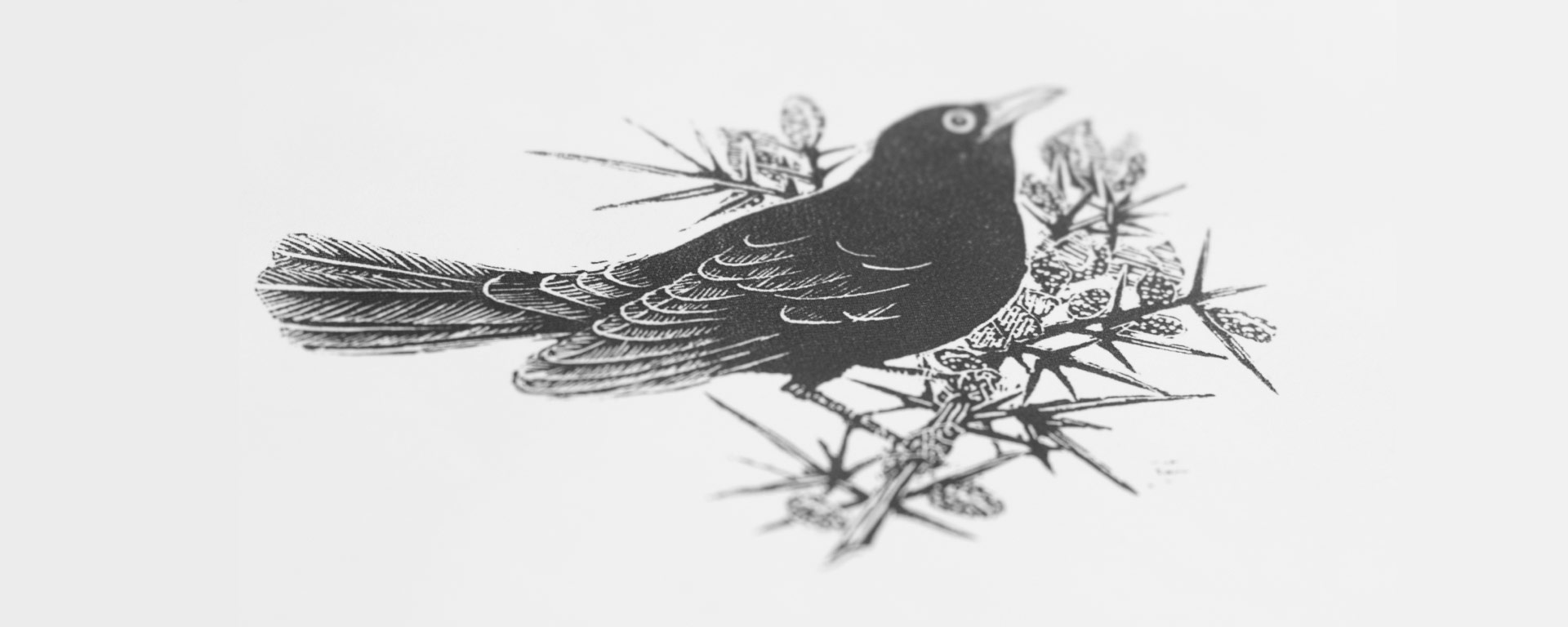 The Blackbird of Belfast Lough, wood engraving by Jeffrey Morgan