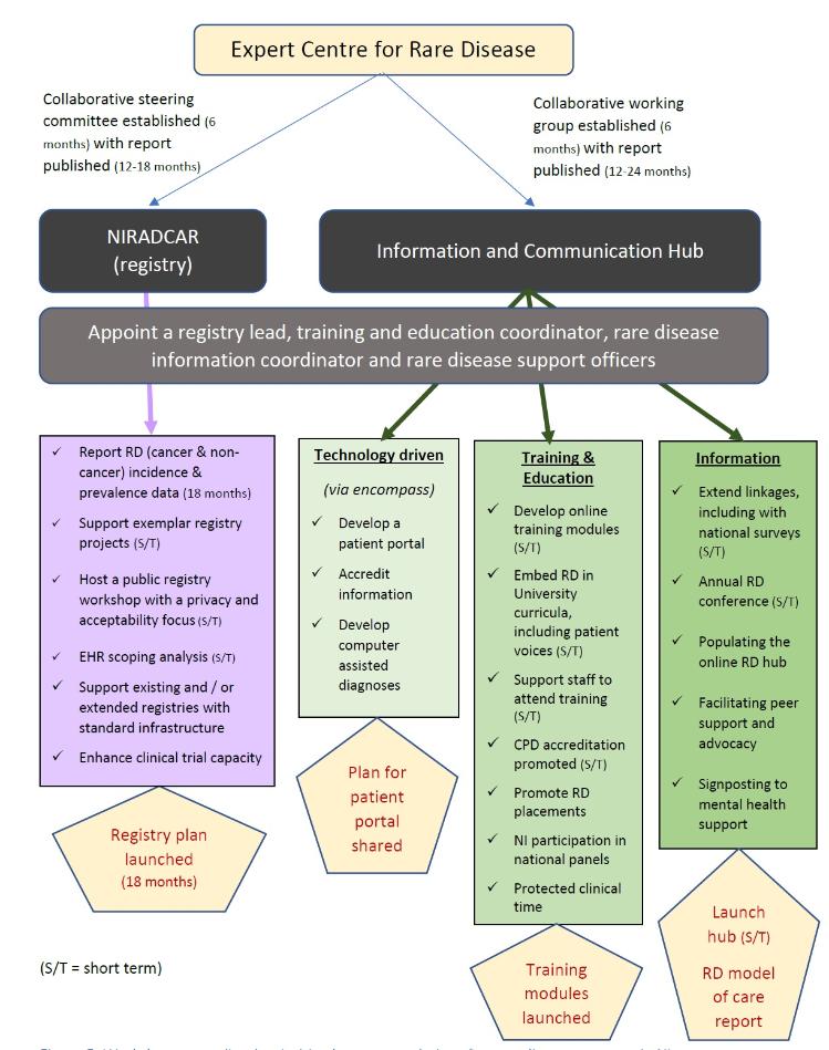 Image showing a workflow proposing an expert centre for rare disease in 2020