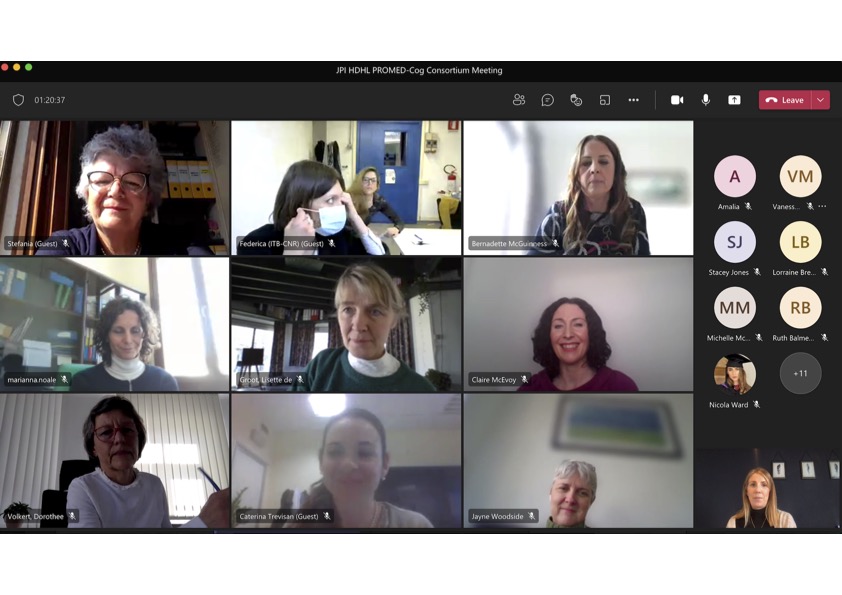 screenshot of teams meeting for Promed-Cog consortium