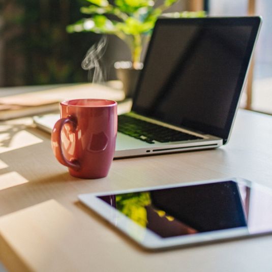 Laptop and ipad on desk beside a plant