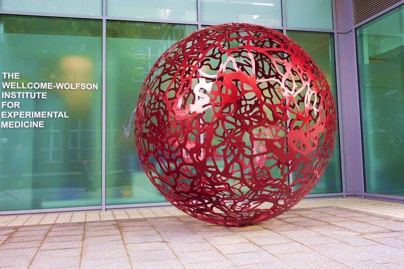 Wellcome Wolfson Institute for Experimental Medicine WWIEM Queen's University Belfast