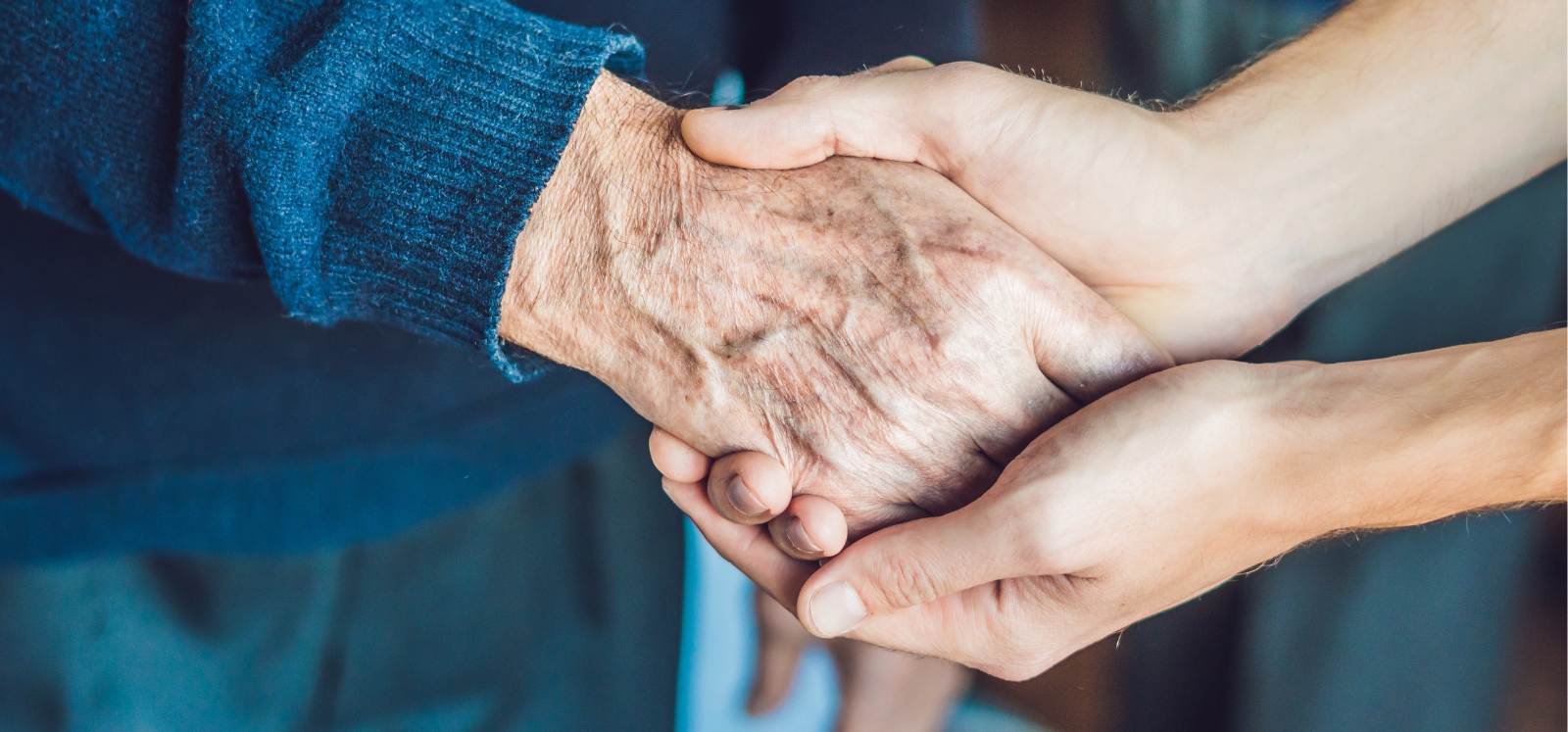 young adult holding an elderly person's hand